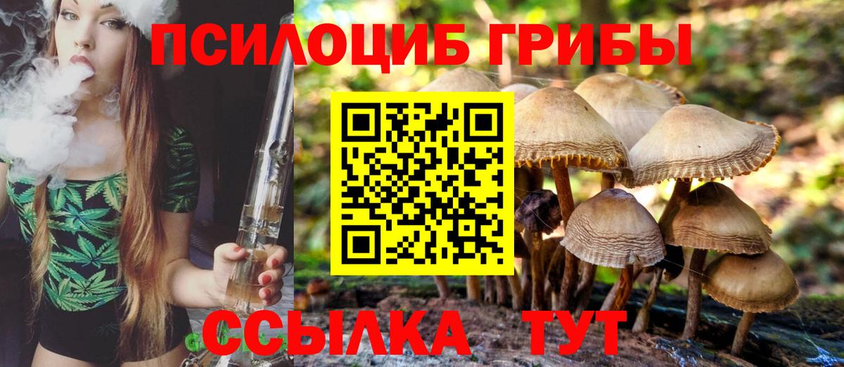 Жигулёвск  Галлюциногенные грибы мухоморы  Вход с VPN 