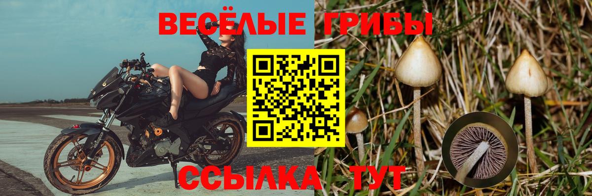 Псилоцибиновые грибы ЛСД Жигулёвск